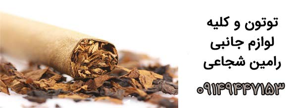 رامین شجاعی