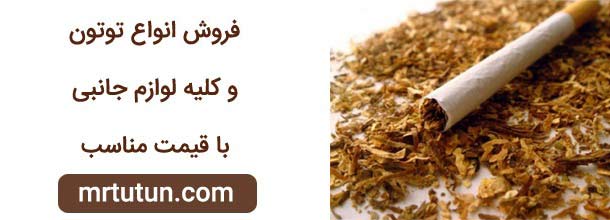 رامین شجاعی